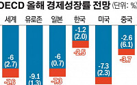 OECD &quot;올해 한국경제, 코로나19 재확산 시 2.5% 역성장&quot;