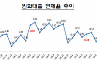 국내 은행 4월 연체율 0.01% 상승, 코로나19 충격은 미미