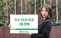 DB금융투자, ELSㆍDLBㆍELB 3종 판매