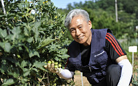 34년 수학교사 출신, 도시농부로 보람 찾다