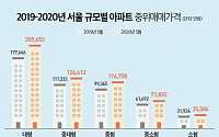 서울 대형아파트 '애물단지'서 '보물단지'로…1년 새 집값 18% 올라
