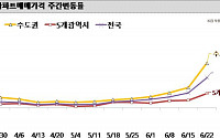 6ㆍ17 대책 '약발 안받네'… 서울 아파트값 이번주 0.44% 올라