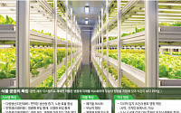 [세계 속에 K-농업 심는다⑥] 미래형 스마트팜 ‘수직형 농장’ 기술도 한국이 선도한다