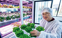 [세계 속에 K-농업 심는다⑥]정부 지원 수직형 농장 1호 ‘팜에이트’, 일본·싱가포르 첫 수출