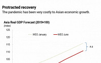 이창용 IMF 아태 국장 “아시아, 코로나19 경제 고통 2022년까지 지속”