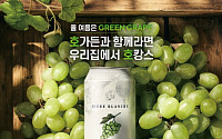 '청포도맛' 호가든부터 '무알콜' 칭따오까지… 여름 시즌 맥주 신제품 쏟아진다