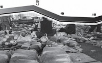 [위기의 한국경제]시장 왜곡시킨 ‘물가와의 전쟁’…하반기 ‘물가대란’ 공포