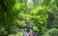 힐링 포레스트 트레킹 ‘개화산 둘레길’