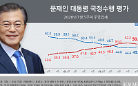 문재인 대통령 국정지지율 45.6%…10주만에 하락 멈추고 반등