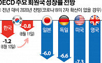 OECD, 한국 성장률 전망 -1.2%→-0.8% 상향…회원국 첫 사례