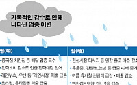 ‘물폭탄’ 올 여름 대한민국을 울렸다