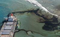 모리셔스 기름유출 일본선박 '두동강'…생태계 파괴