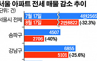 [단독] 전월세 상한 5%? 서울은 3% 유력… 전세난 '가중'