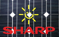 [글로벌기업, 승자 vs. 패자 막전막후]샤프, 실리콘 전략 실패…태양전지 사업도 부진