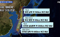 10호태풍 하이선 경로, 일본 관통하나 '윈디' 시뮬레이션 보니