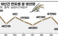 올 쌀 생산량 418만t 10년래 최소… 쌀 수급 비상