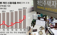 금감원, '대출규제 위반' 잡는다…부동산 민심 수습 가세