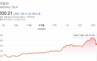 테슬라, 주가 21% 폭락...사상 최대 하락폭