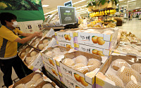 “흠집있지만 싸고 꿀맛” 이마트, 못난이 사과·배 20% 할인 판매