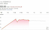 스노플레이크 증시 데뷔 첫날 111.61% 폭등...선견지명 버핏, 약 1조 잭팟