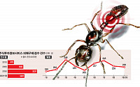 [개미 리포트]②개미 울리는 ‘리딩방’…낚는 수법도 진화 중
