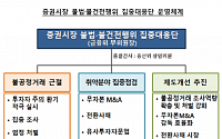 금융감독원, 자본시장 내 불법‧불건전행위 근절 종합대책 추진