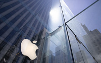 애플, 사상 첫 분기 매출 1000억 달러 기록...주가는 하락
