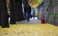 [내일날씨] 11월 맞아 전국 곳곳 가을비…미세먼지 ‘좋음~보통’