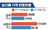 농산물값 상승세 한 풀 꺾였다