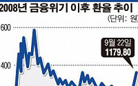 환율, 리먼 때보다 심각…천장 뚫렸다