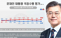 문재인 대통령 지지율 소폭 하락… 긍정 44.9% 부정 50.9%