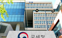 국세청, '실시간 소득파악' 전담조직 설치…4개팀 14명