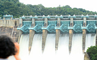 댐 관리, '현장중심' 관리체제로 전환…'댐 건설법' 개정령 국무회의 통과