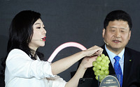 알리바바 '티몰' 한국식품국가관 개설…광군절 앞두고 공략