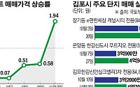 한달 새 1억 급등… 김포 '규제지역 지정' 촉각