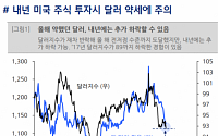 “내년 미국 주식 투자시 달러 약세 주의해야”-현대차증권