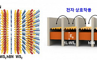 AI 시대 앞당길 초절전형 반도체 논리소자 개발