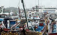 코로나19에도 연근해 어업생산량 '선방'…외식 어종은 타격