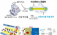 KAIST, 이산화탄소 배출 대량 절감 기술 개발