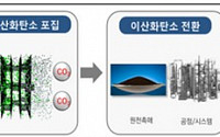 정부, 이산화탄소 포집ㆍ활용 로드맵 수립 착수