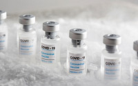 미 FDA, 화이자 코로나19 백신 긴급사용 승인