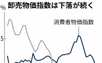 중국 11월 소비자물가, 전년비 0.5% 하락…11년 만에 마이너스로