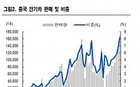 NH투자증권 &quot;중국 자동차 시장, 현대차 축소...테슬라 주문 증가&quot;