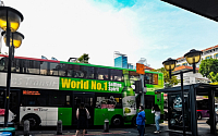 싱가포르 시내에 '두꺼비 버스'가 떴다