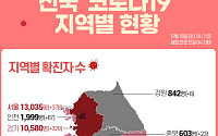 [코로나19 지역별 현황] 서울 1만3035명·경기 1만580명·대구 7384명·검역 2304명·인천 1999명·경북 1893명 순