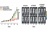 종양억제인자 ‘p53’ 분해기작 규명…폐암 진단율 향상 실마리 제공