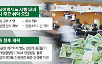 [단독] 금감원 “IFRS17 취약 회사 선정하겠다”…보험사 신년 경영계획 비상