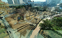 [포토] '선별진료소 앞 장사진'