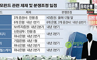 금감원, 사모펀드 제재 내년 1분기 개최…분쟁조정은 2분기까지 완료