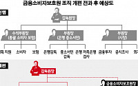 금융소비자보호원 놓고 금융위-금감원 충돌